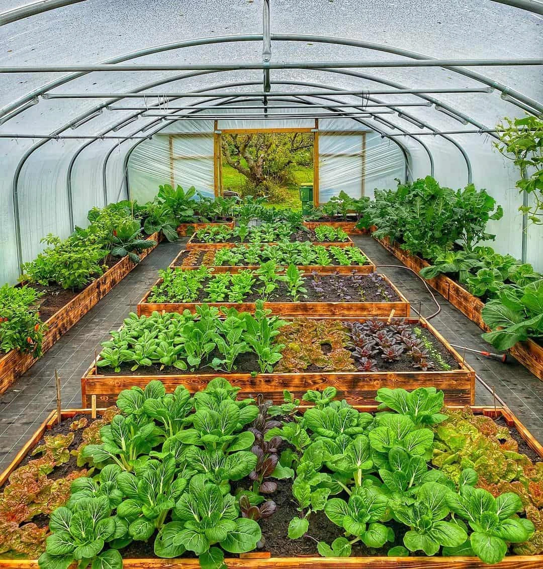 Greenhouse Research